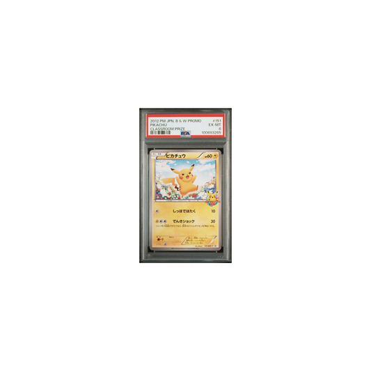 Pokemon Pikachu Classroom Prize B&W Promo 2012 PSA 6 (JP)