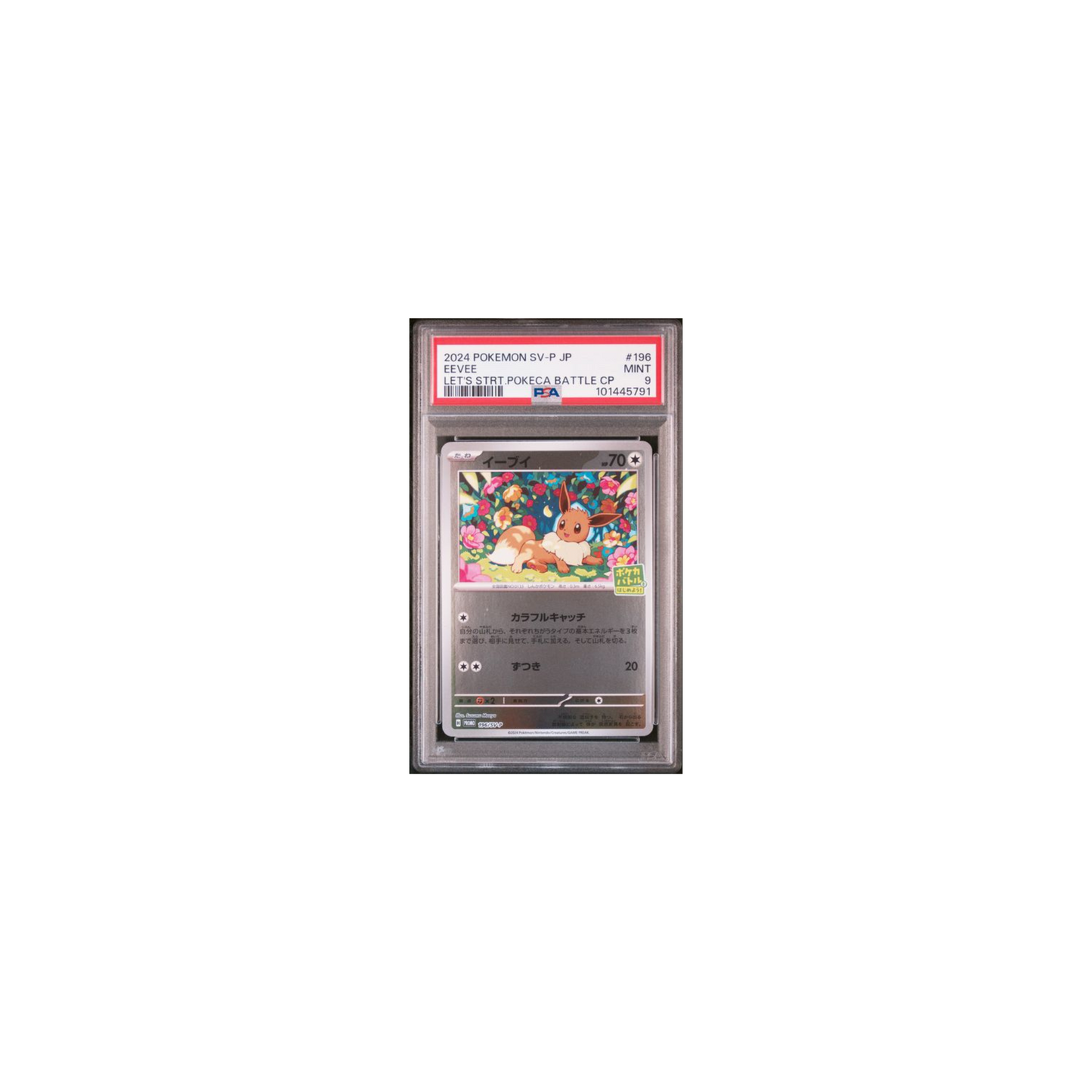 Pokemon Eevee Promo 2024 PSA 9 (JP)